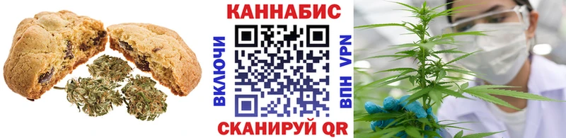Купить где  Краснокаменск  Canna-Cookies конопля 