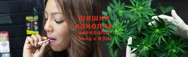 крисы Лабытнанги