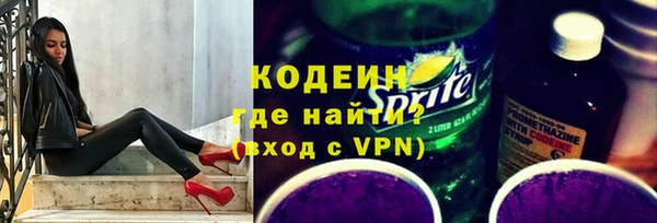 крисы Лабытнанги