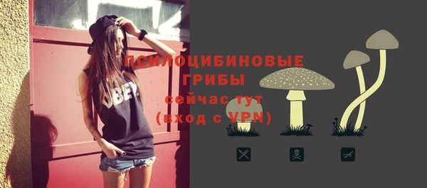 спиды Лиски