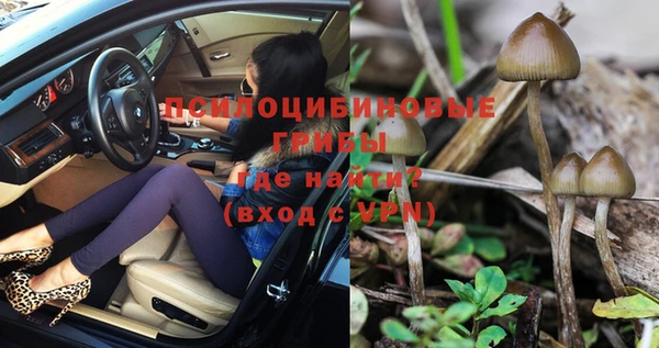 дурь Болхов