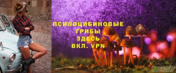 спиды Лиски